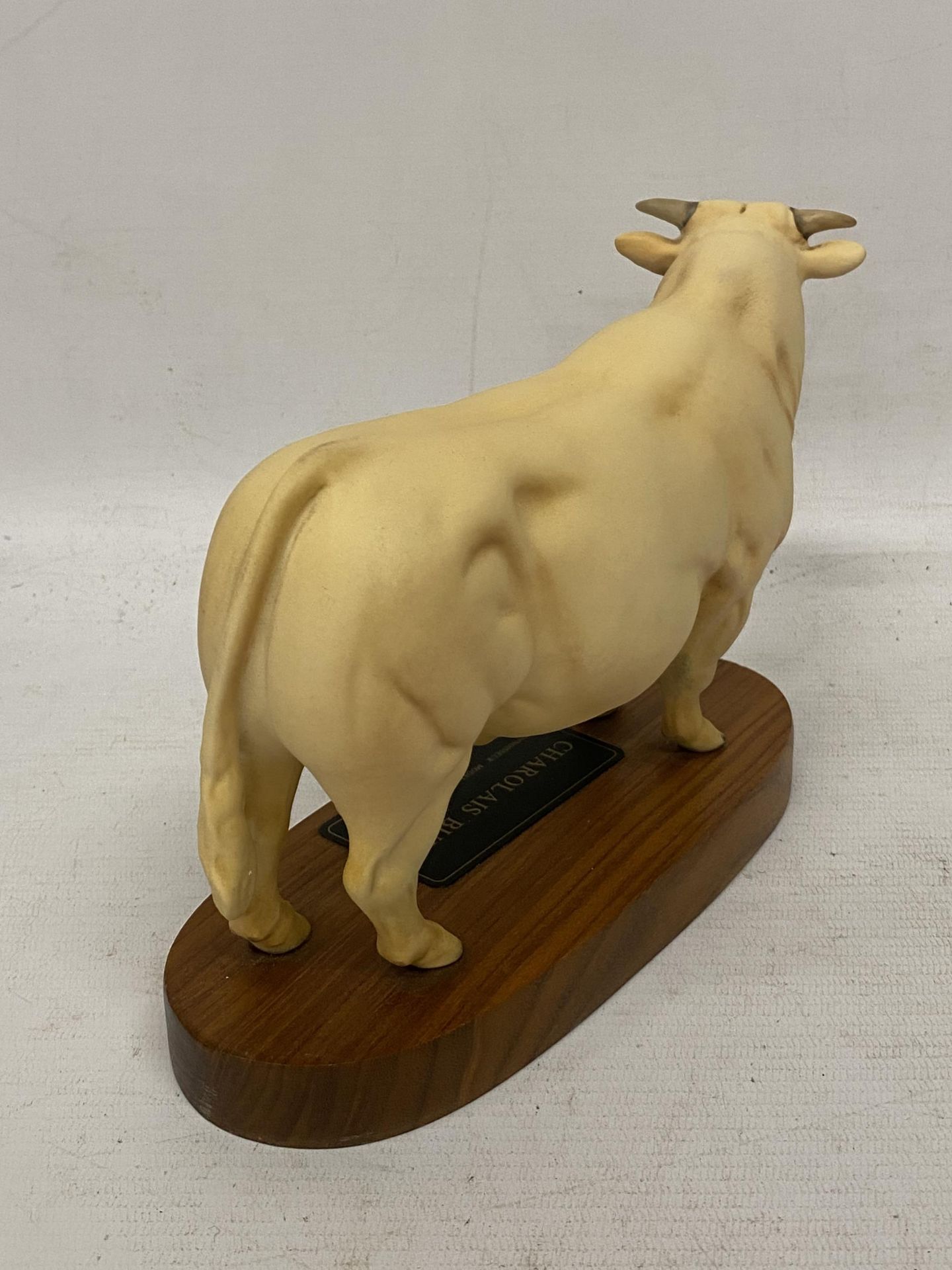 A BESWICK MATT CHAROLAIS BULL ON WOODEN PLINTH BASE - Image 3 of 4