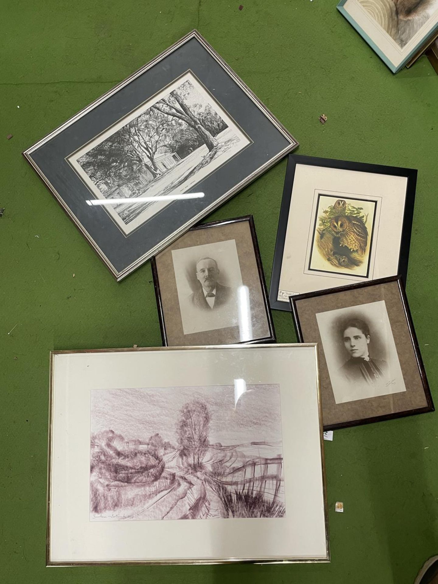 FIVE FRAMED PRINTS TO INCLUDE A TAWNY OWL ILLUSTRATION BY J GOULD, TREATY HOUSE WAITANG ETC.,