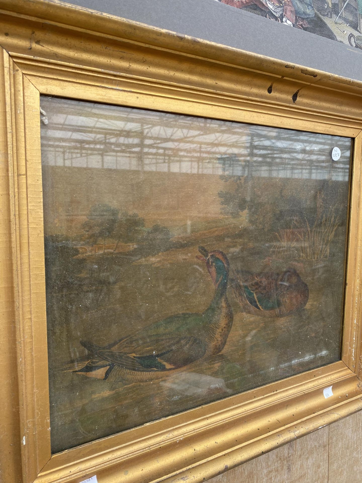 TWO GILT FRAMED OLEOGRAPHS OF MALLARDS AND A FURTHER PRINT - Image 3 of 6