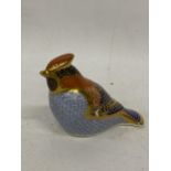 A ROYAL CROWN DERBYWAXWING PAPERWEIGHT, FIRSTS BUT NO STOPPER