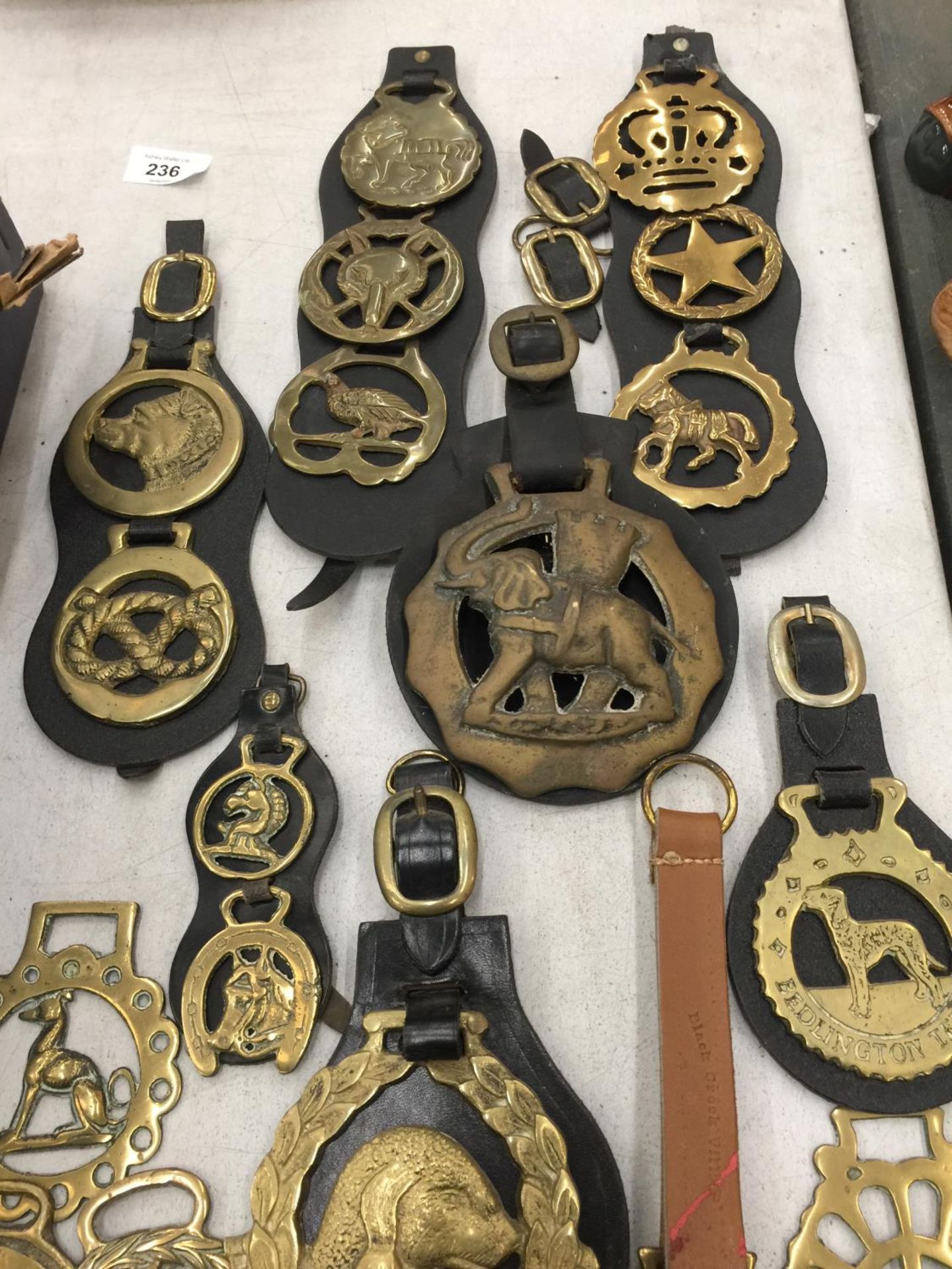 A LARGE QUANTITY OF VINTAGE HORSE BRASSES - Image 2 of 3
