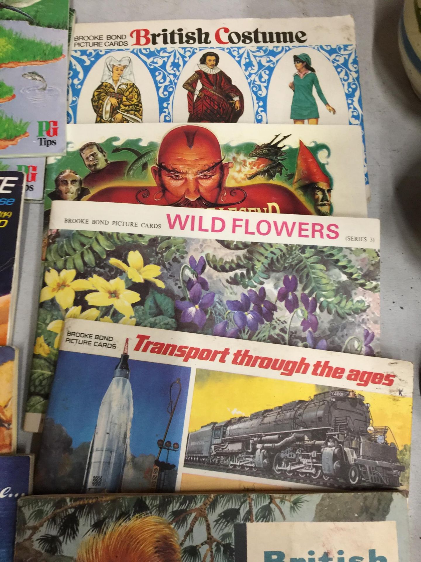 A COLLECTION OF VINTAGE CIGARETTE CARD ALBUMS, TEENAGE MUTANT NINJA TURTLES, SPACE, FLOWERS ETC - Image 3 of 4