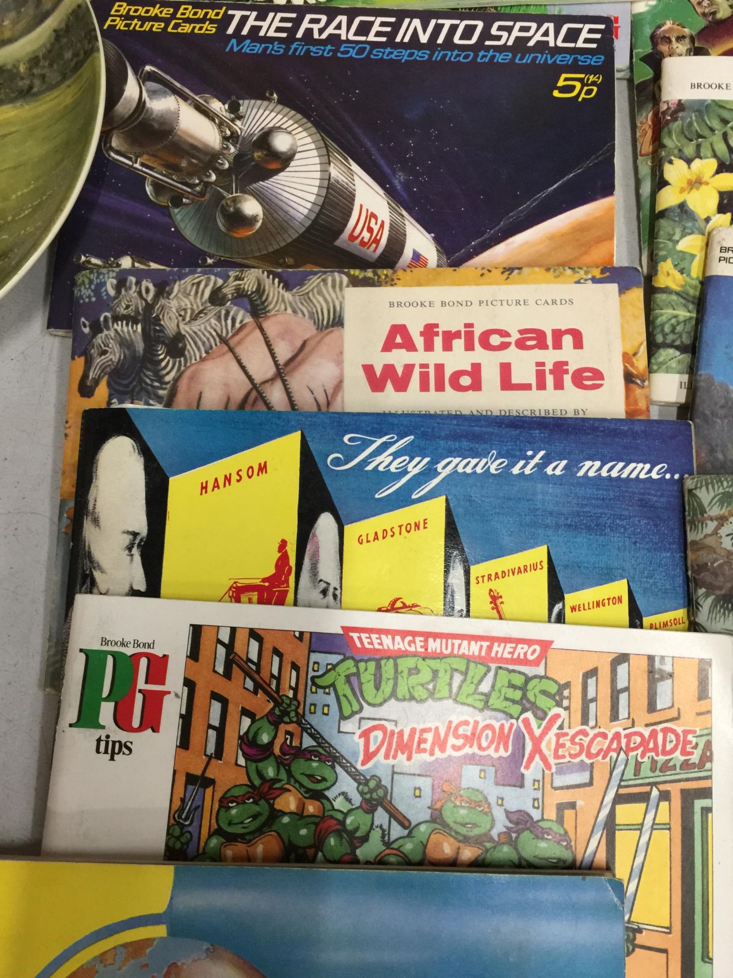 A COLLECTION OF VINTAGE CIGARETTE CARD ALBUMS, TEENAGE MUTANT NINJA TURTLES, SPACE, FLOWERS ETC - Image 4 of 4