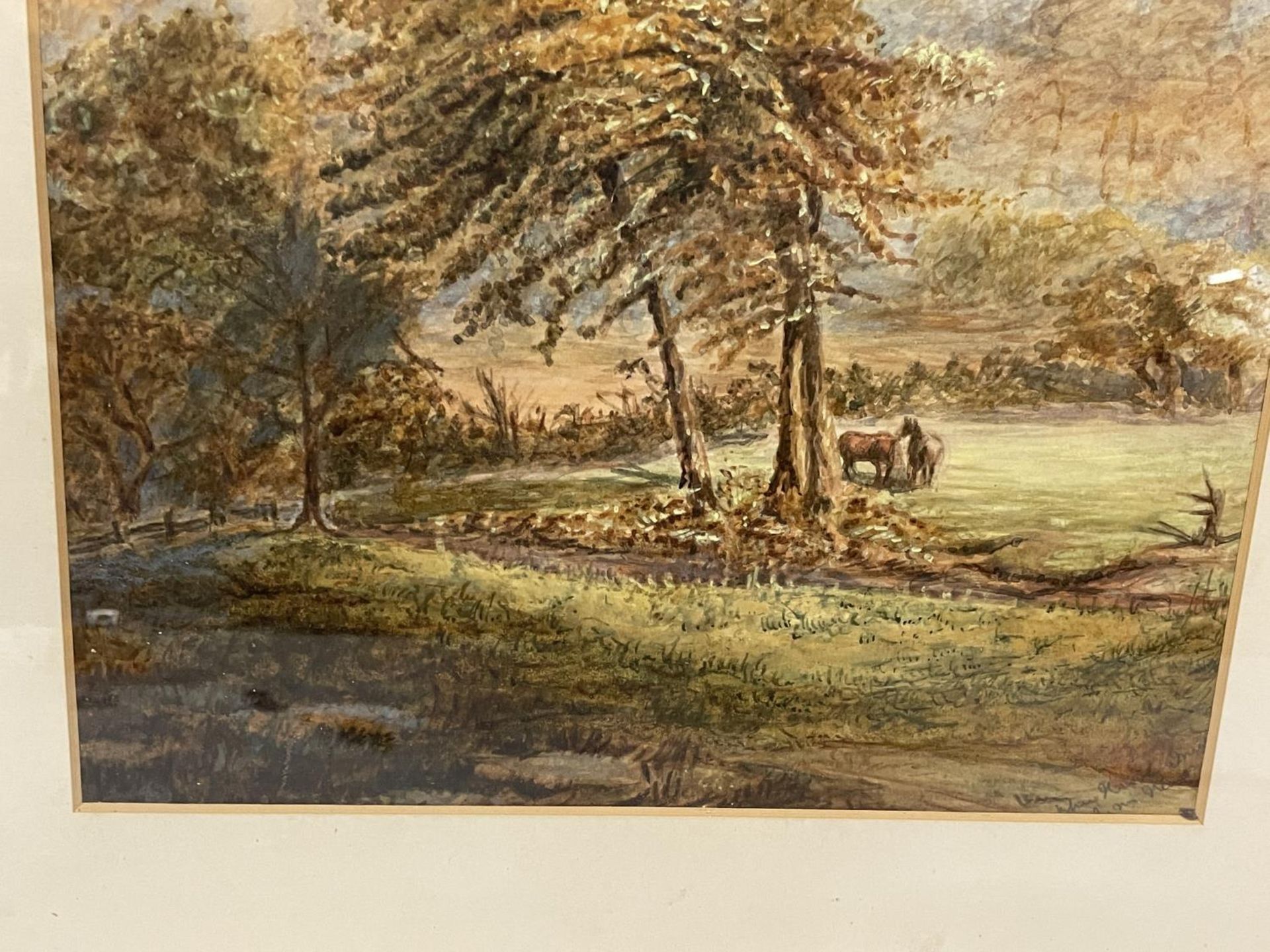 A LATE 19TH CENTURY WATERCOLOUR OF TWO HORSES IN A WOODLAND INDISTINCTLY SIGNED, 37CM X 26CM, FRAMED - Image 3 of 4