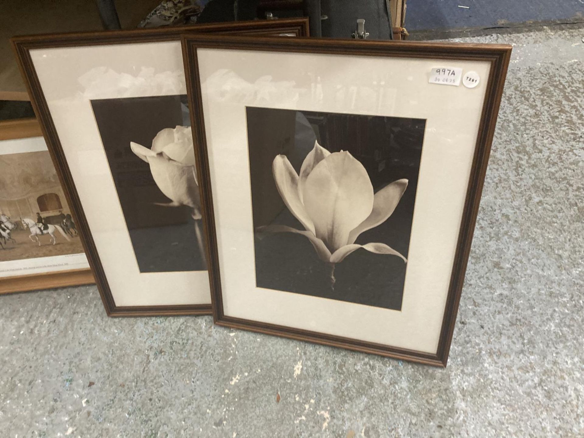 A PAIR OF FRAMED BLACK AND WHITE FLOWER PRINTS