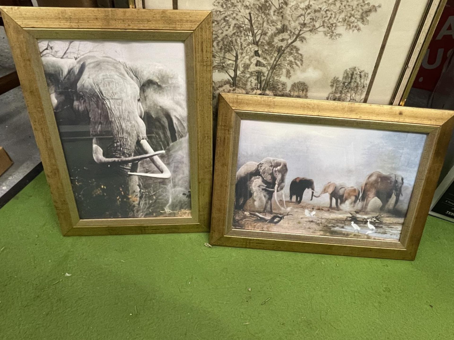 A GROUP OF FRAMED PICTURES AND PRINTS TO INCLUDE ELEPHANT PRINTS ETC - Image 3 of 4