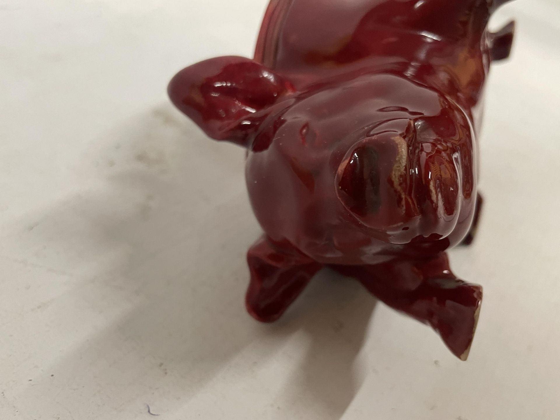 A RARE ROYAL DOULTON FLAMBE PIG OPEN SALT ANIMAL FIGURE - Image 5 of 5