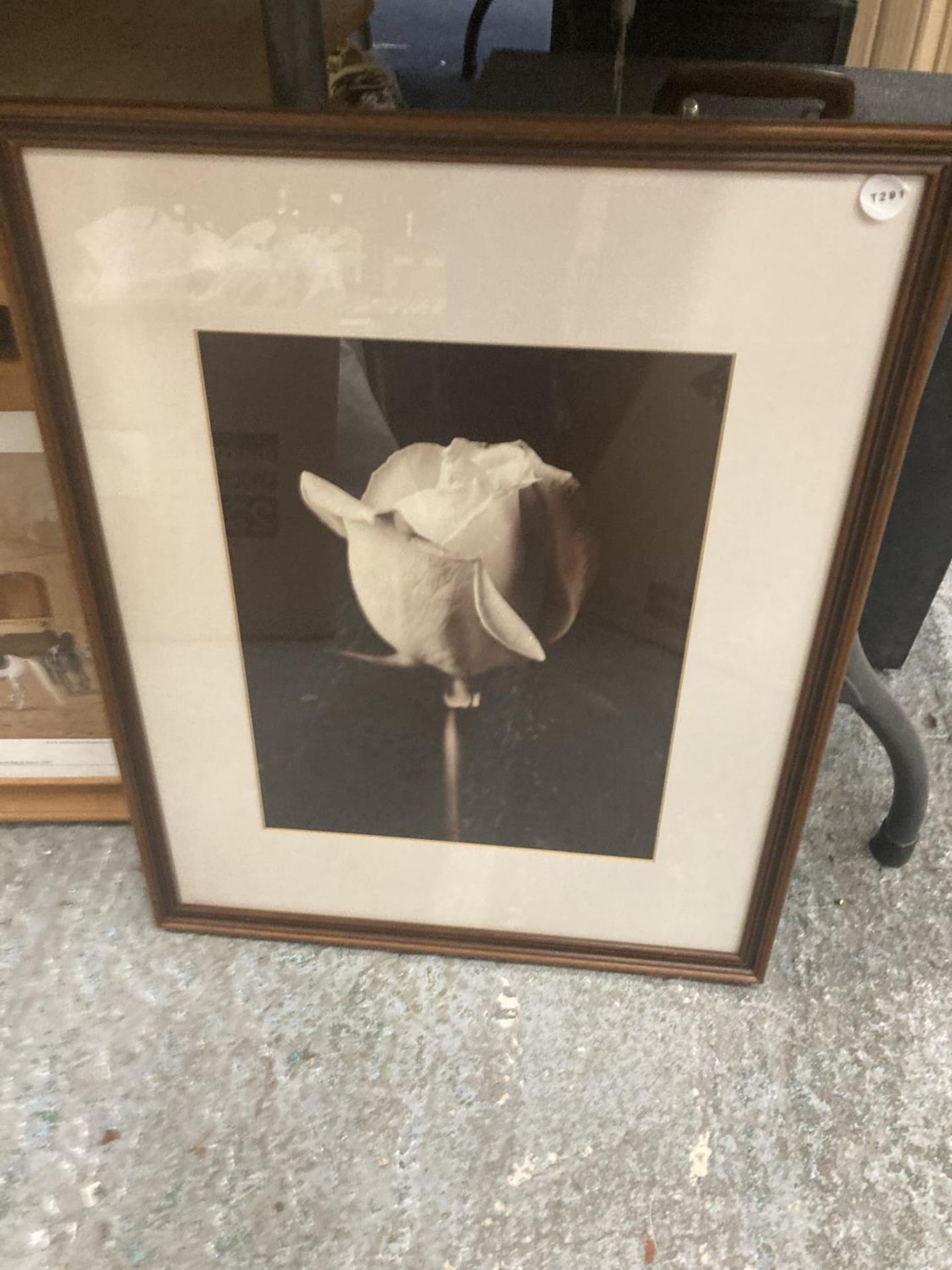 A PAIR OF FRAMED BLACK AND WHITE FLOWER PRINTS - Bild 3 aus 3