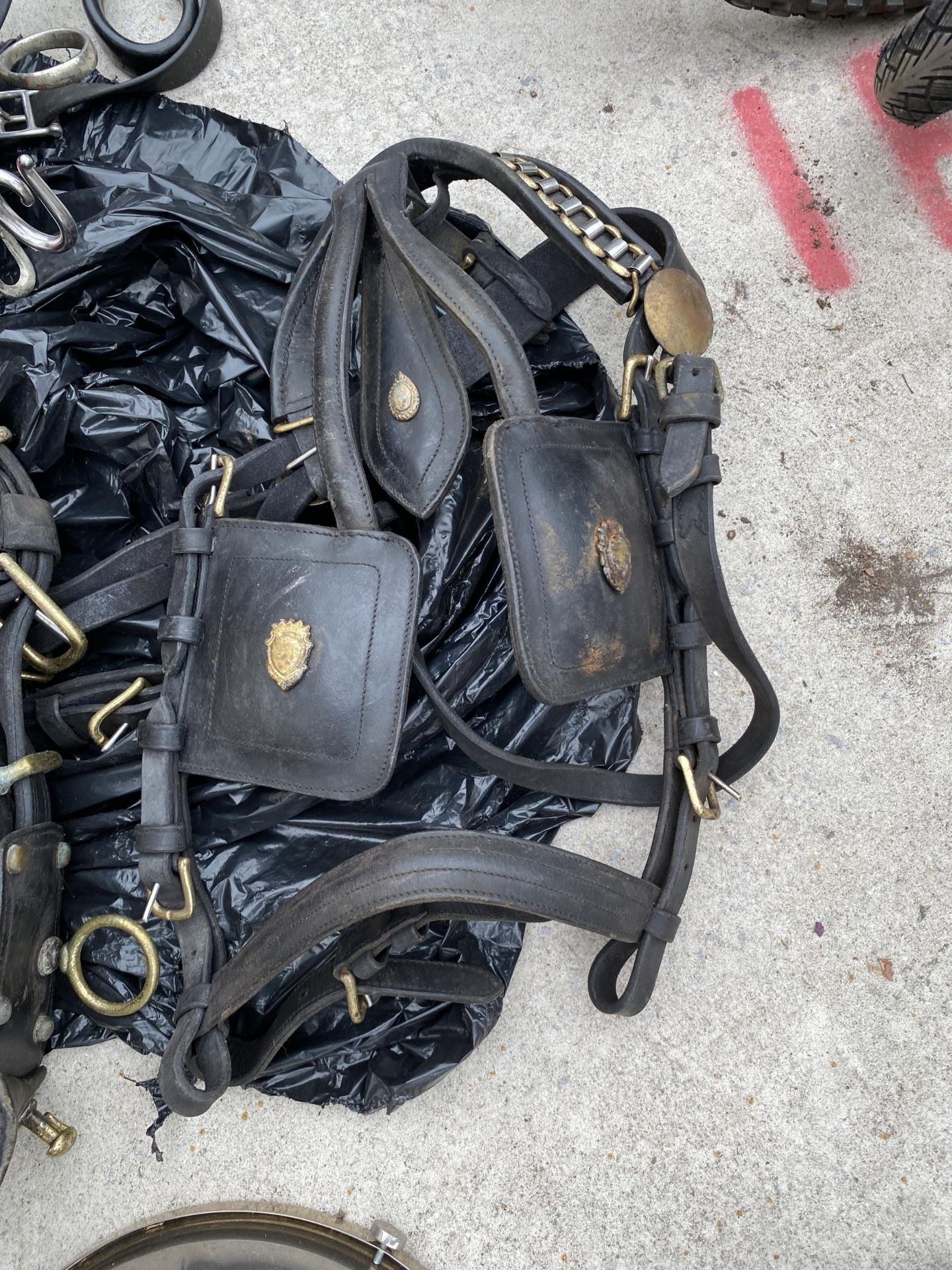 AN ASSORTMENT OF HORSE TACK TO INCLUDE A HARNESS ETC - Bild 2 aus 7