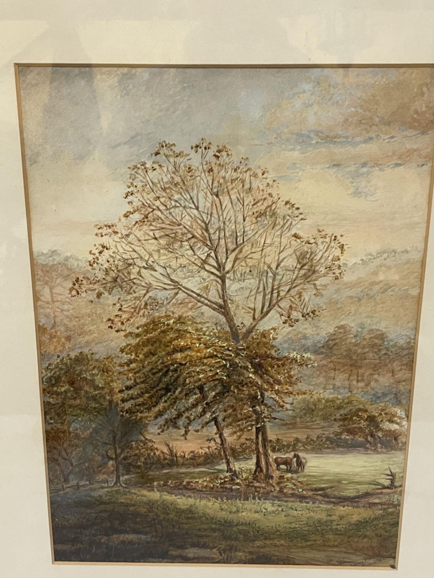 A LATE 19TH CENTURY WATERCOLOUR OF TWO HORSES IN A WOODLAND INDISTINCTLY SIGNED, 37CM X 26CM, FRAMED - Image 2 of 4