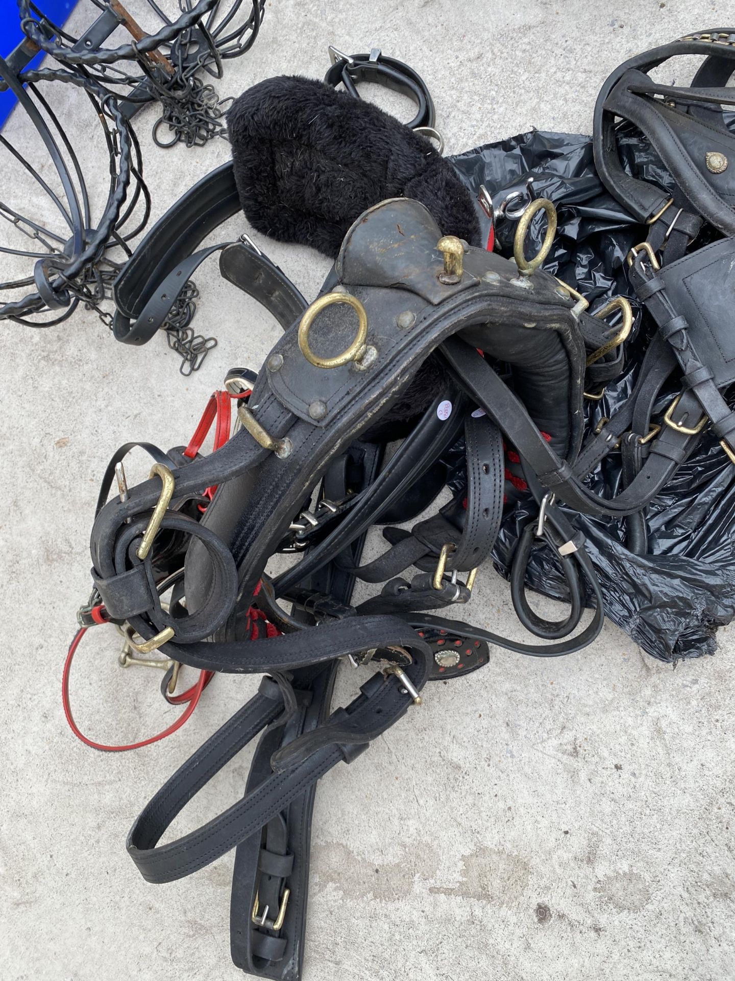 AN ASSORTMENT OF HORSE TACK TO INCLUDE A HARNESS ETC - Bild 4 aus 7