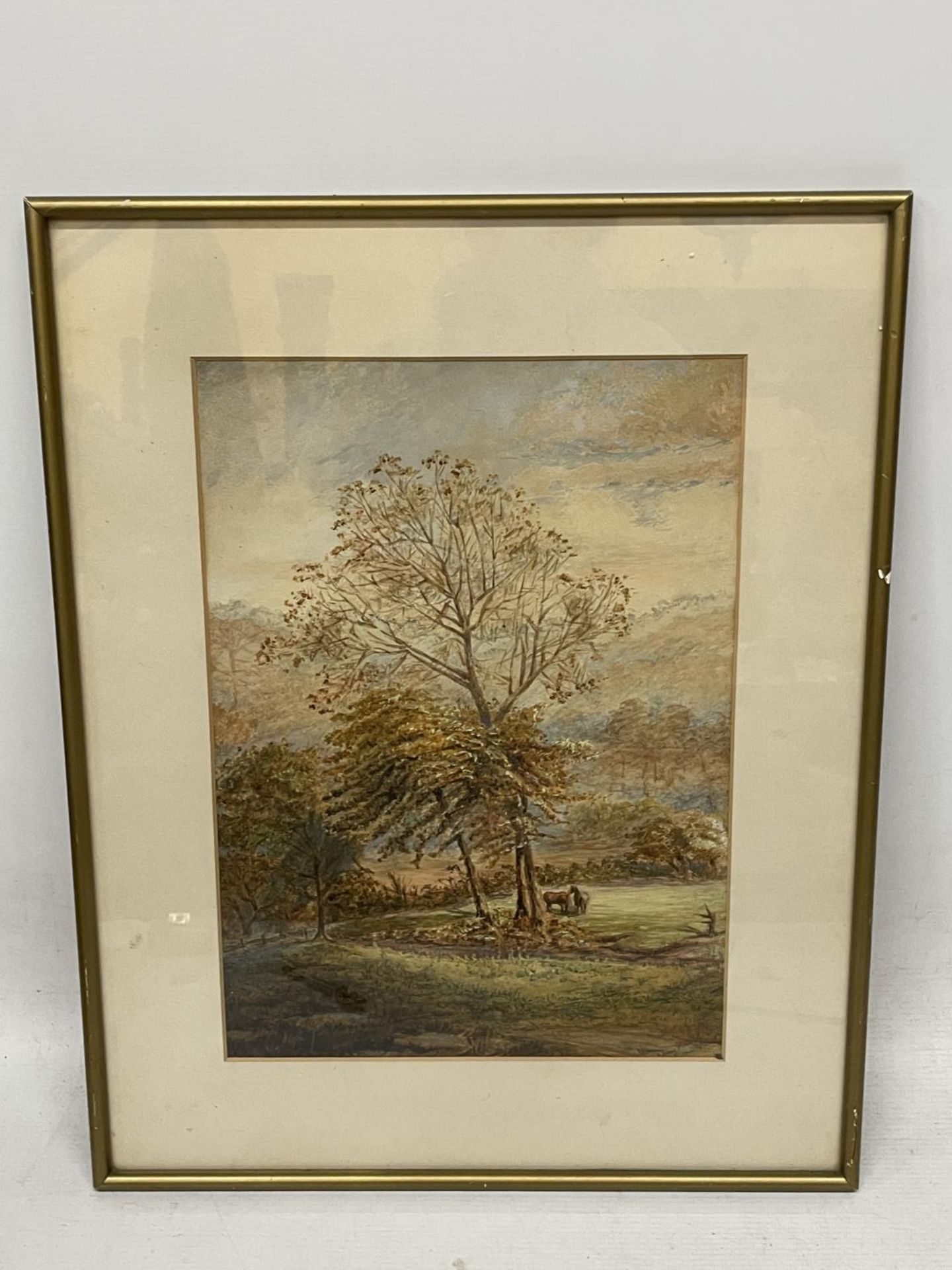 A LATE 19TH CENTURY WATERCOLOUR OF TWO HORSES IN A WOODLAND INDISTINCTLY SIGNED, 37CM X 26CM, FRAMED