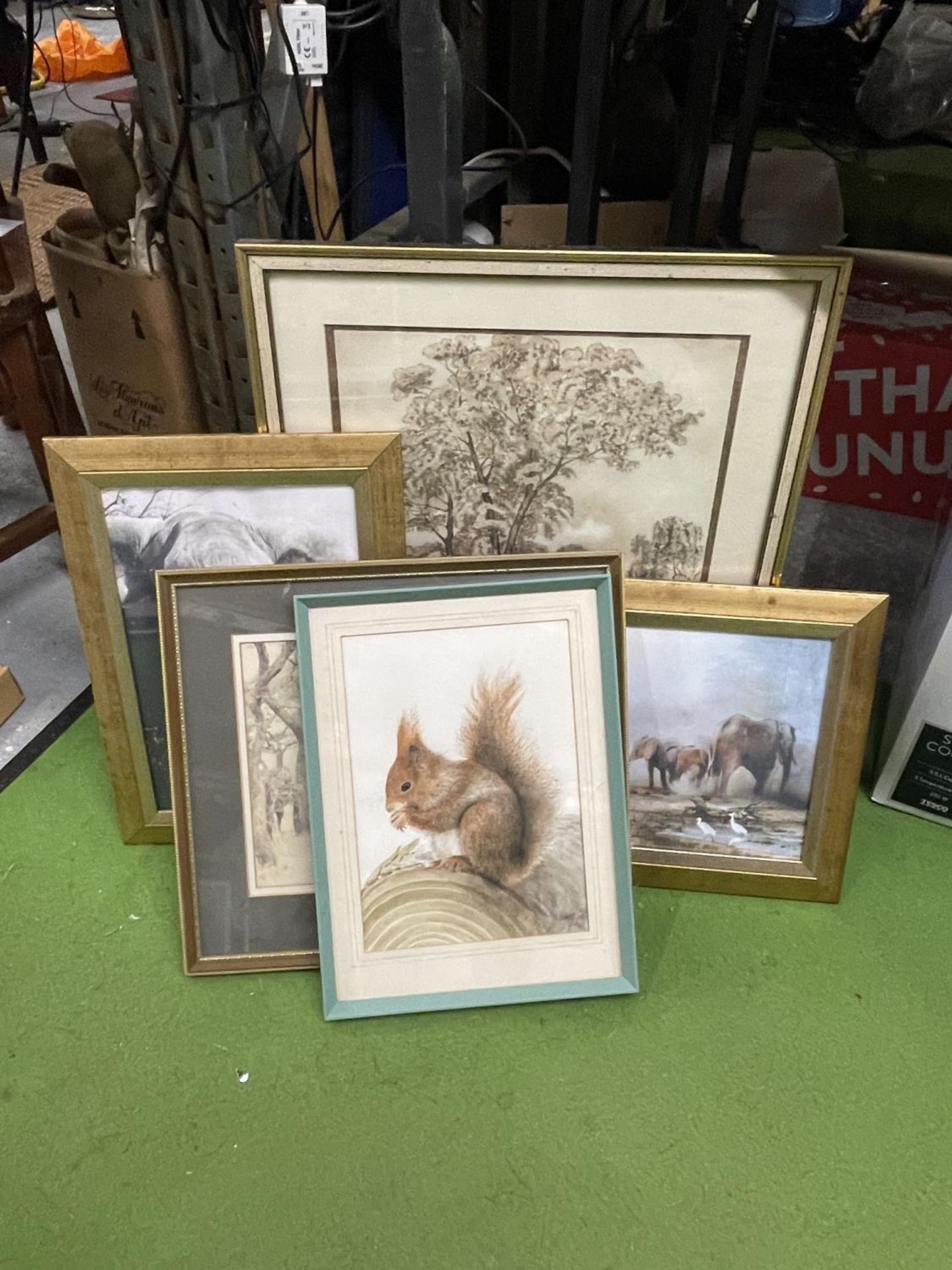 A GROUP OF FRAMED PICTURES AND PRINTS TO INCLUDE ELEPHANT PRINTS ETC