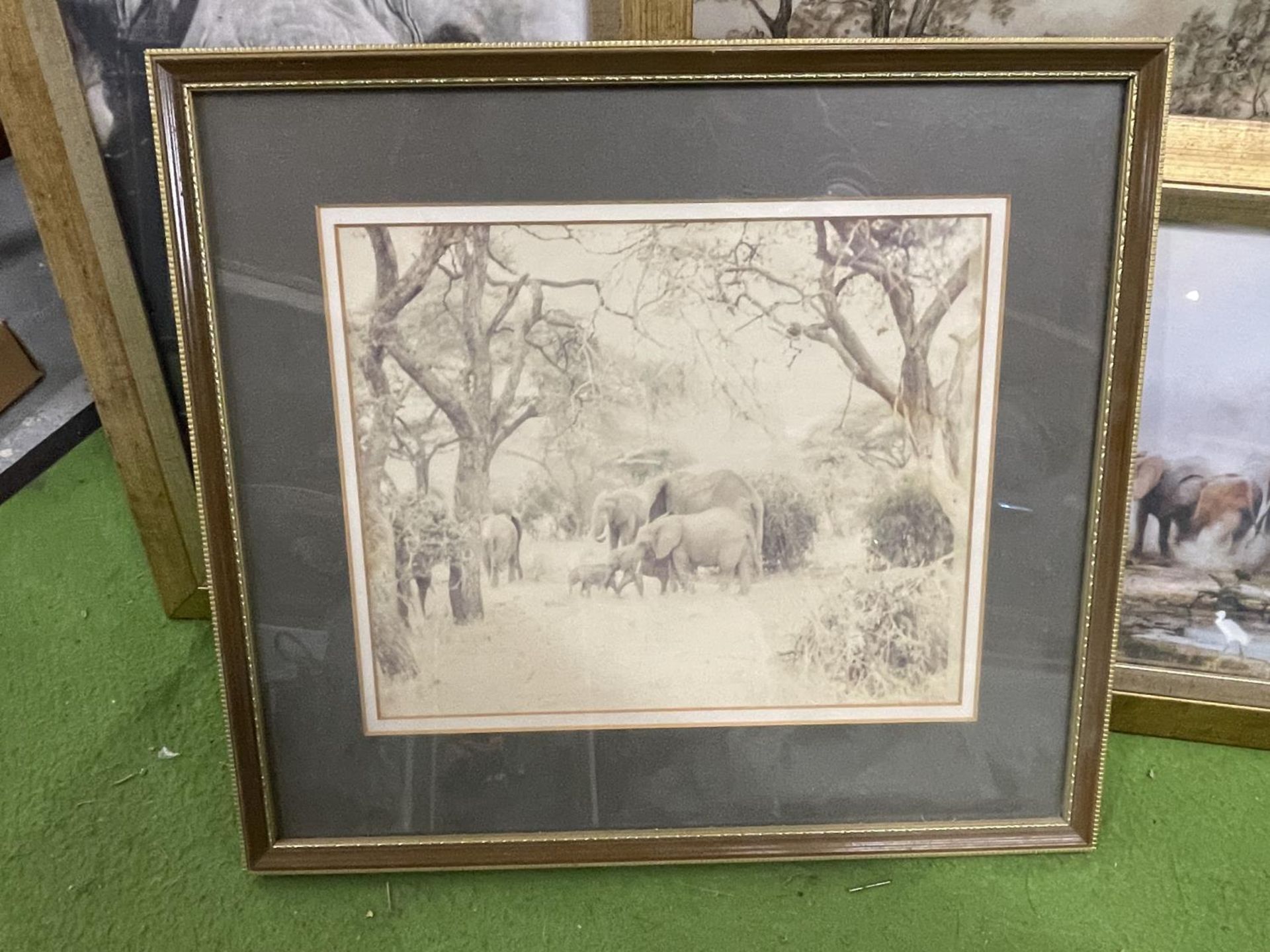 A GROUP OF FRAMED PICTURES AND PRINTS TO INCLUDE ELEPHANT PRINTS ETC - Image 2 of 4