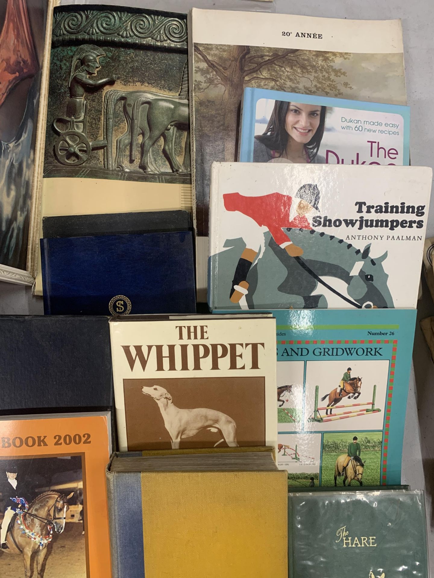 A GROUP OF BOOKS RELATED TO HORSE RIDING, SHOW JUMPING ETC - Image 2 of 3