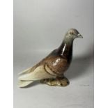 A BESWICK MODEL OF A BROWN PIGEON NO. 1383 - A/F CHIP TO TAIL