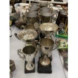 A LARGE COLLECTION OF CUPS AND TROPHIES - 16 IN TOTAL