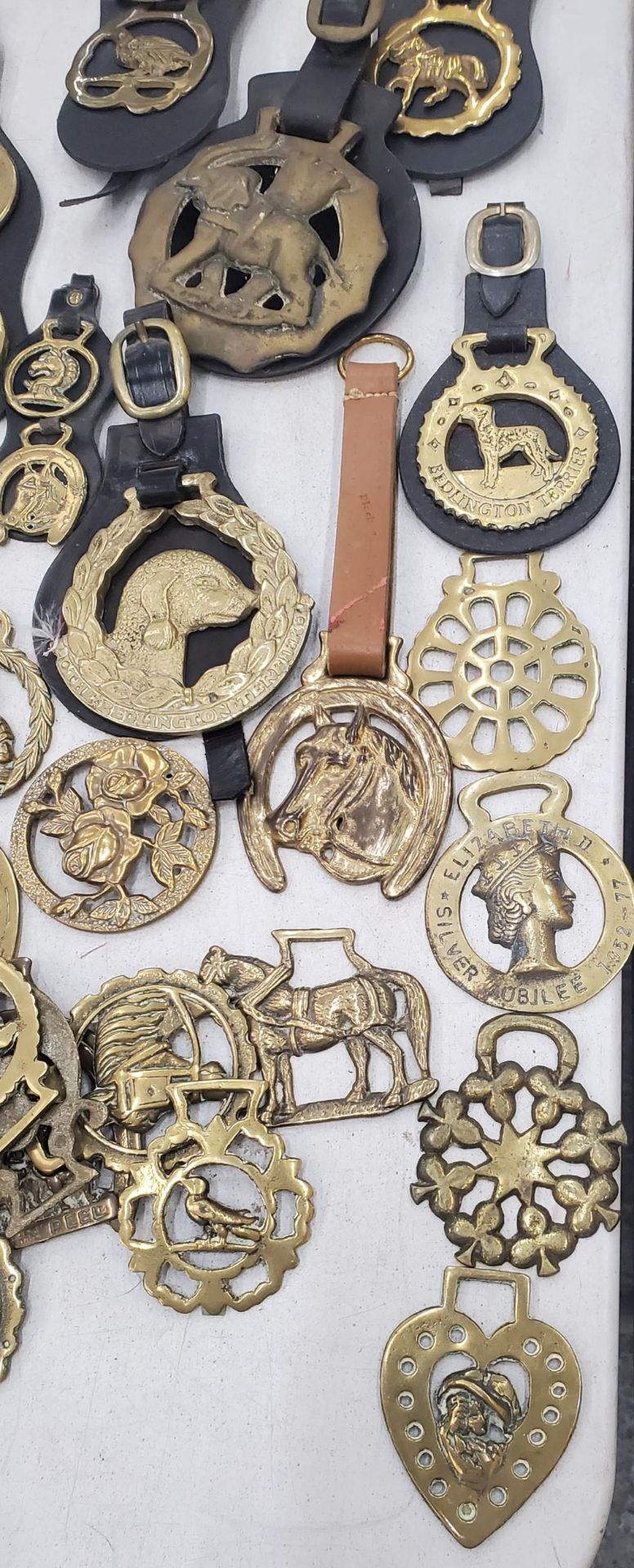 A LARGE QUANTITY OF VINTAGE HORSE BRASSES - Image 4 of 4