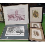 FIVE FRAMED PRINTS TO INCLUDE A TAWNY OWL ILLUSTRATION BY J GOULD, TREATY HOUSE WAITANG ETC.,