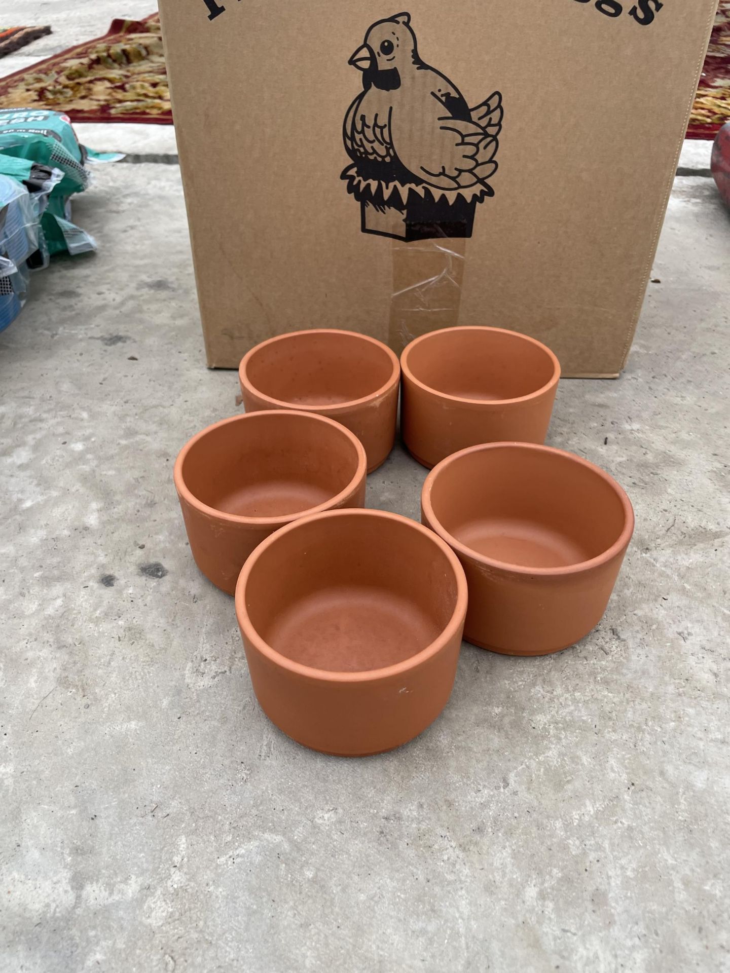A LARGE QUANTITY OF TERACOTTA PIGEON POTS - Image 2 of 4