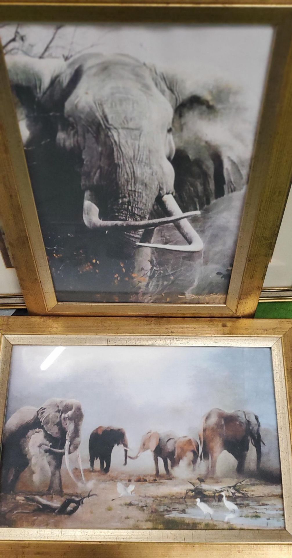 A GROUP OF FRAMED PICTURES AND PRINTS TO INCLUDE ELEPHANT PRINTS ETC - Image 3 of 4
