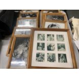 A COLLECTION OF FRAMED PICTURES OF FILM STARS TO INCLUDE MAE WEST, HAYLEY MILLS, JANE RUSSELL,