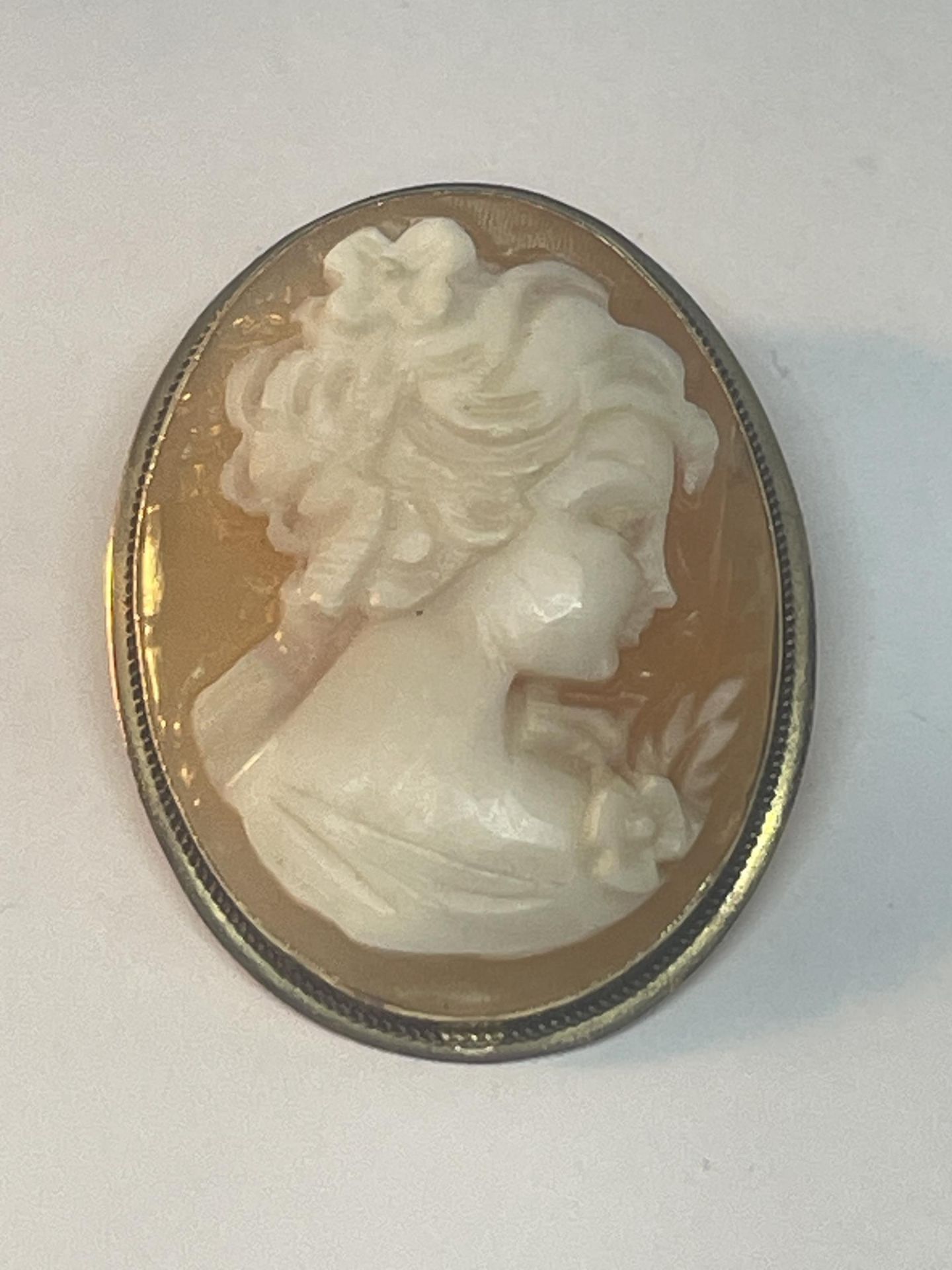 A 9 CARAT GOLD PENDANT/BROOCH WITH CAMEO