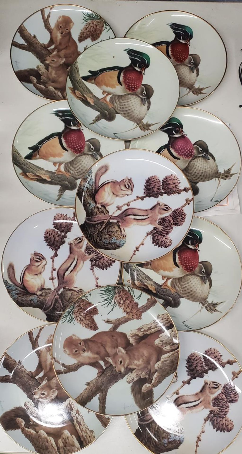 A COLLECTION OF ANIMAL AND BIRD THEMED CABINET PLATES - 11 IN TOTAL