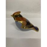 A ROYAL CROWN DERBY WAXWING PAPERWEIGHT, FIRST BUT NO STOPPER