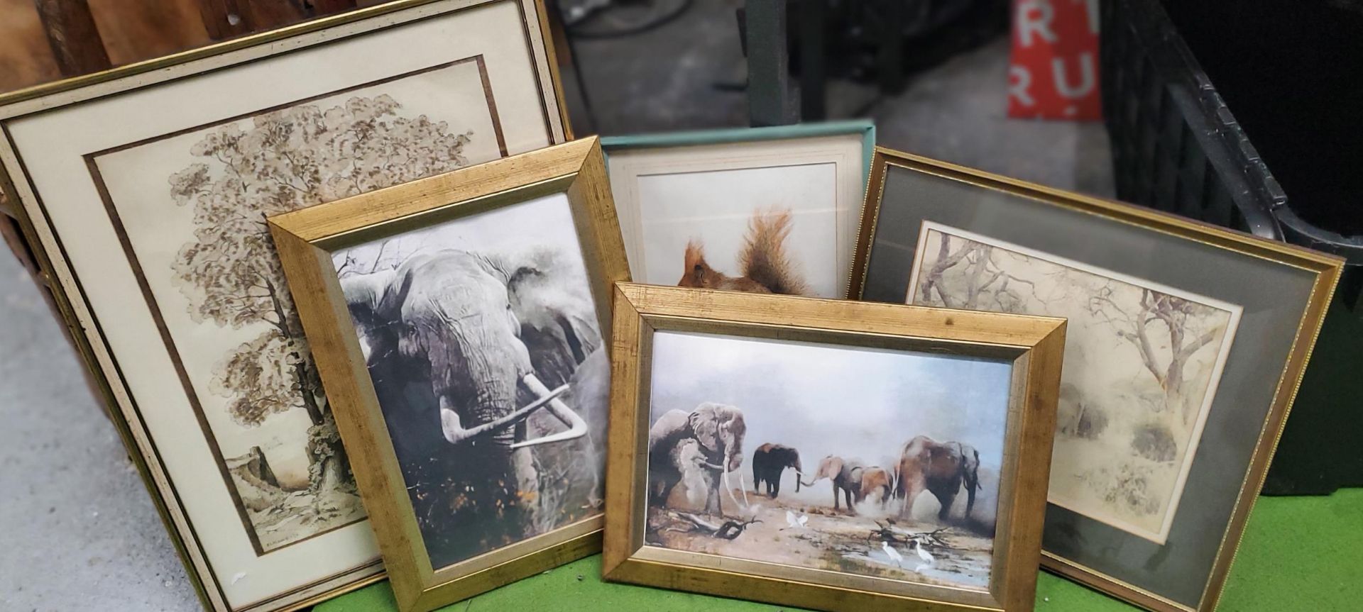 A GROUP OF FRAMED PICTURES AND PRINTS TO INCLUDE ELEPHANT PRINTS ETC