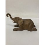 AN AYNSLEY BABY BULL ELEPHANT SIGNED BY JOHN AYNSLEY 1973