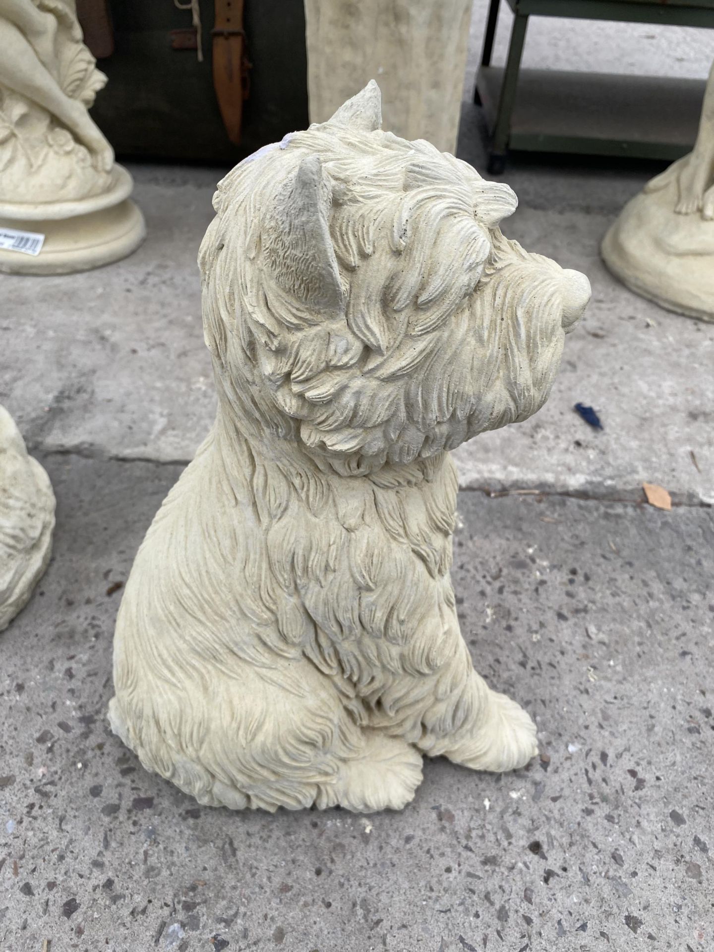 AN AS NEW EX DISPLAY CONCRETE WESTIE FIGURE *PLEASE NOTE VAT TO BE PAID ON THIS ITEM* - Bild 2 aus 4