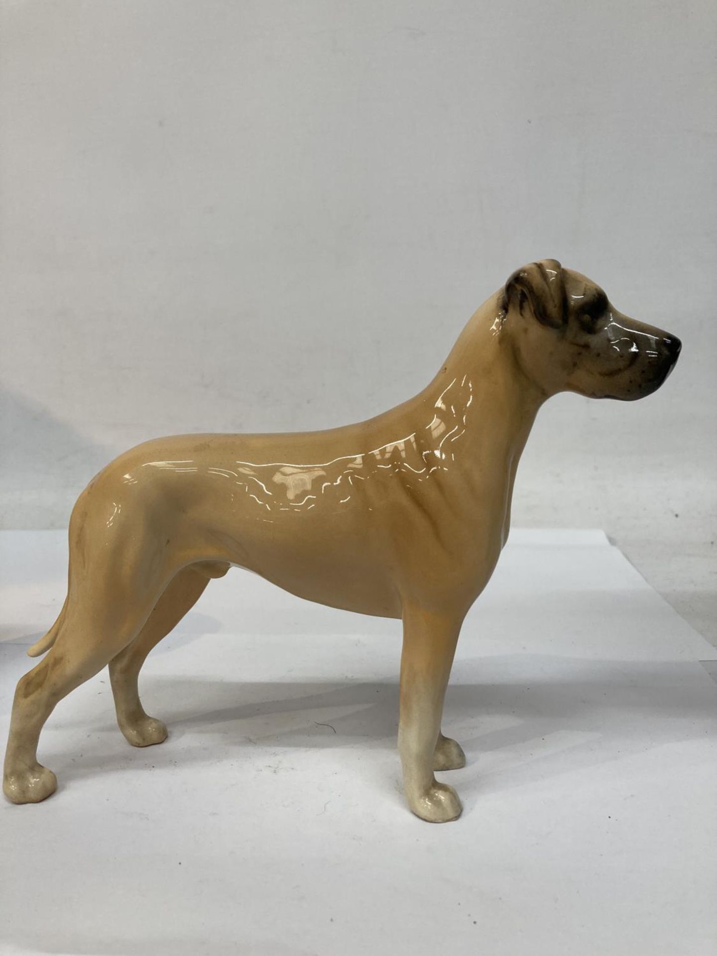 TWO BESWICK DOGS - ST BERNARD AND GREAT DANE - Image 10 of 12