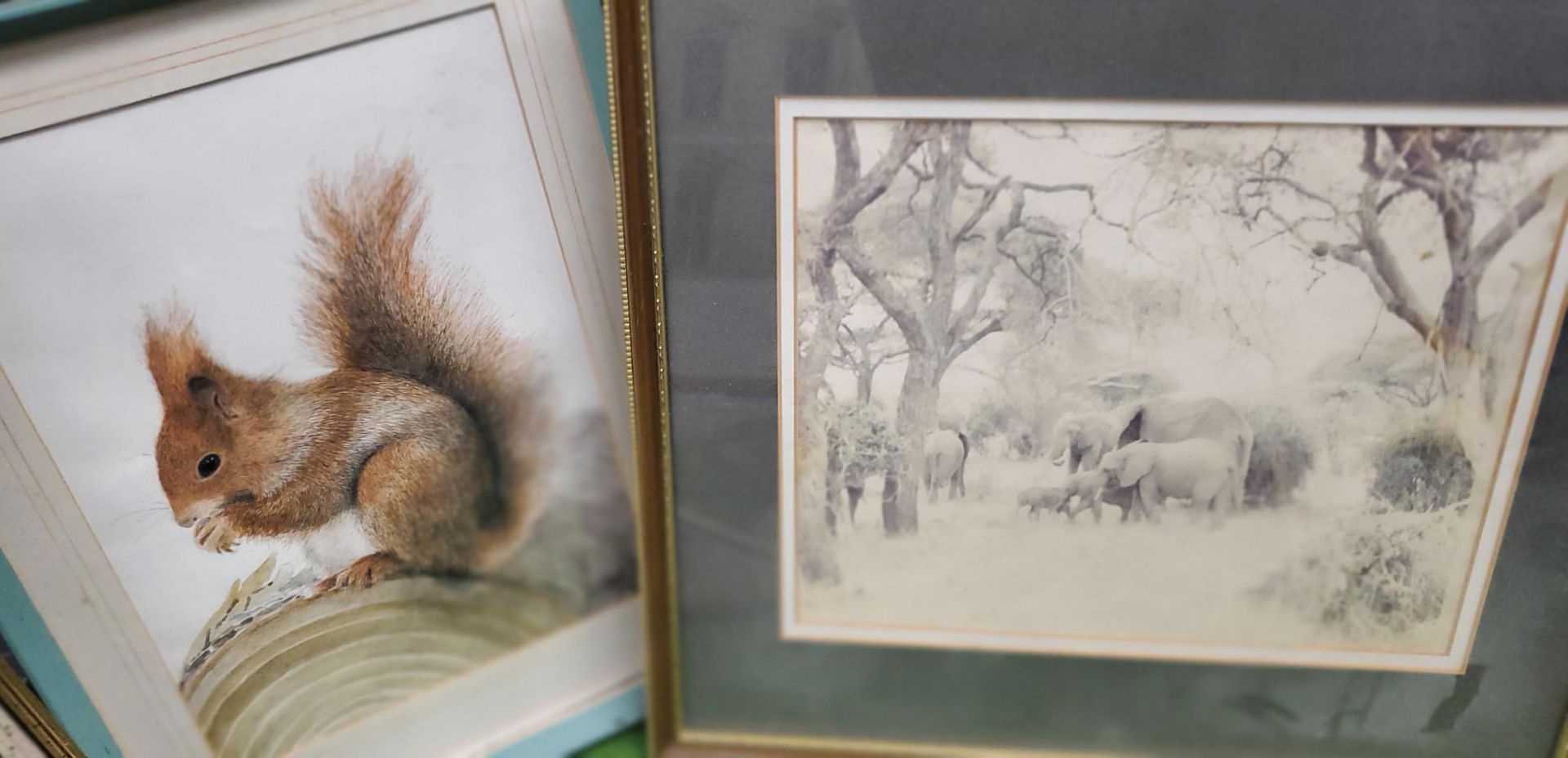 A GROUP OF FRAMED PICTURES AND PRINTS TO INCLUDE ELEPHANT PRINTS ETC - Image 4 of 4