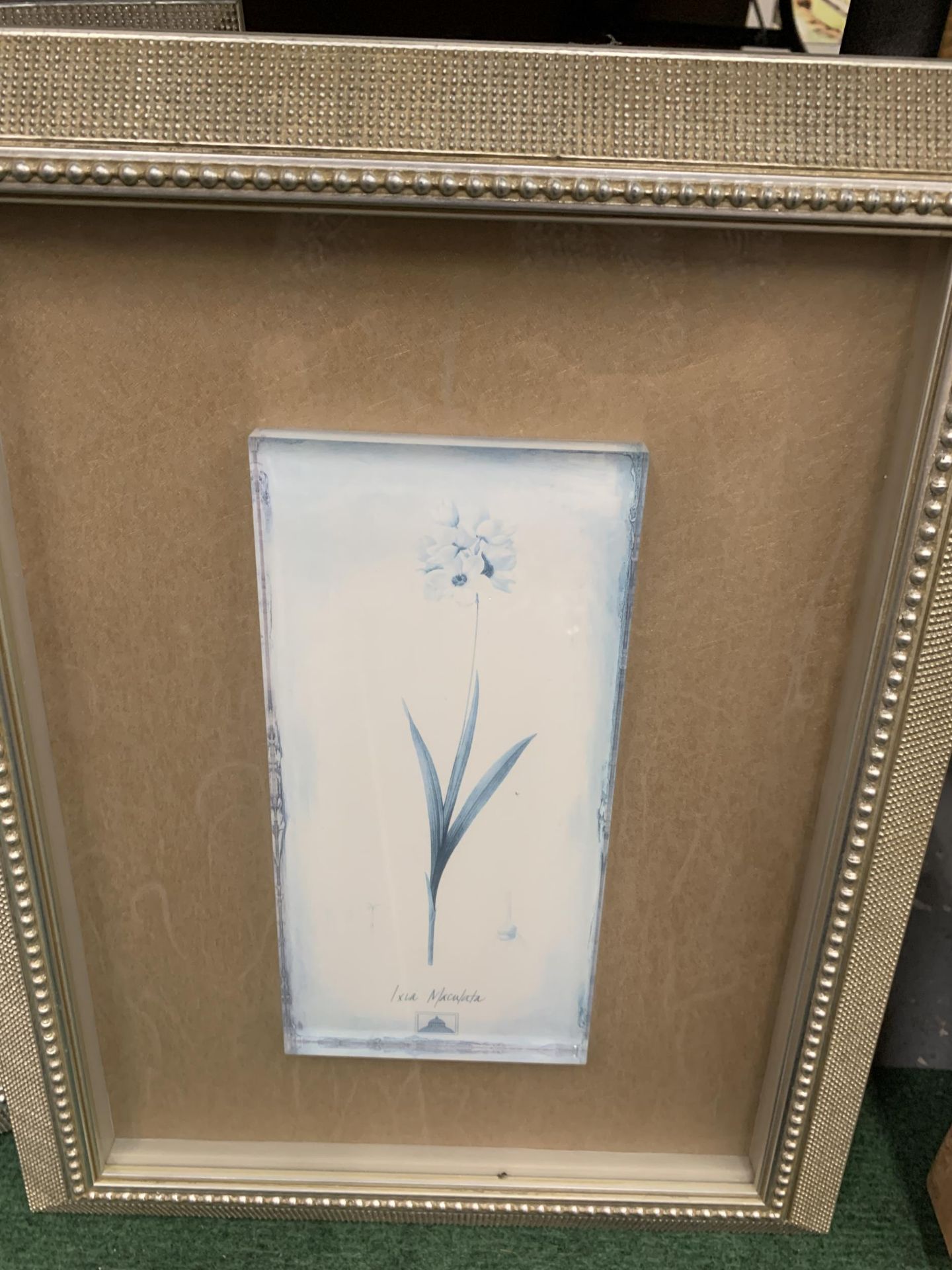 THREE FLORAL ENCAPSULATED GLASS ART DESIGNS IN A SILVER COLOURED FRAME (TWO 18" X 14" AND A 16" X - Image 3 of 4