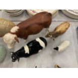 A GROUP OF CATTLE MODELS - BESWICK COWS, RAM ETC