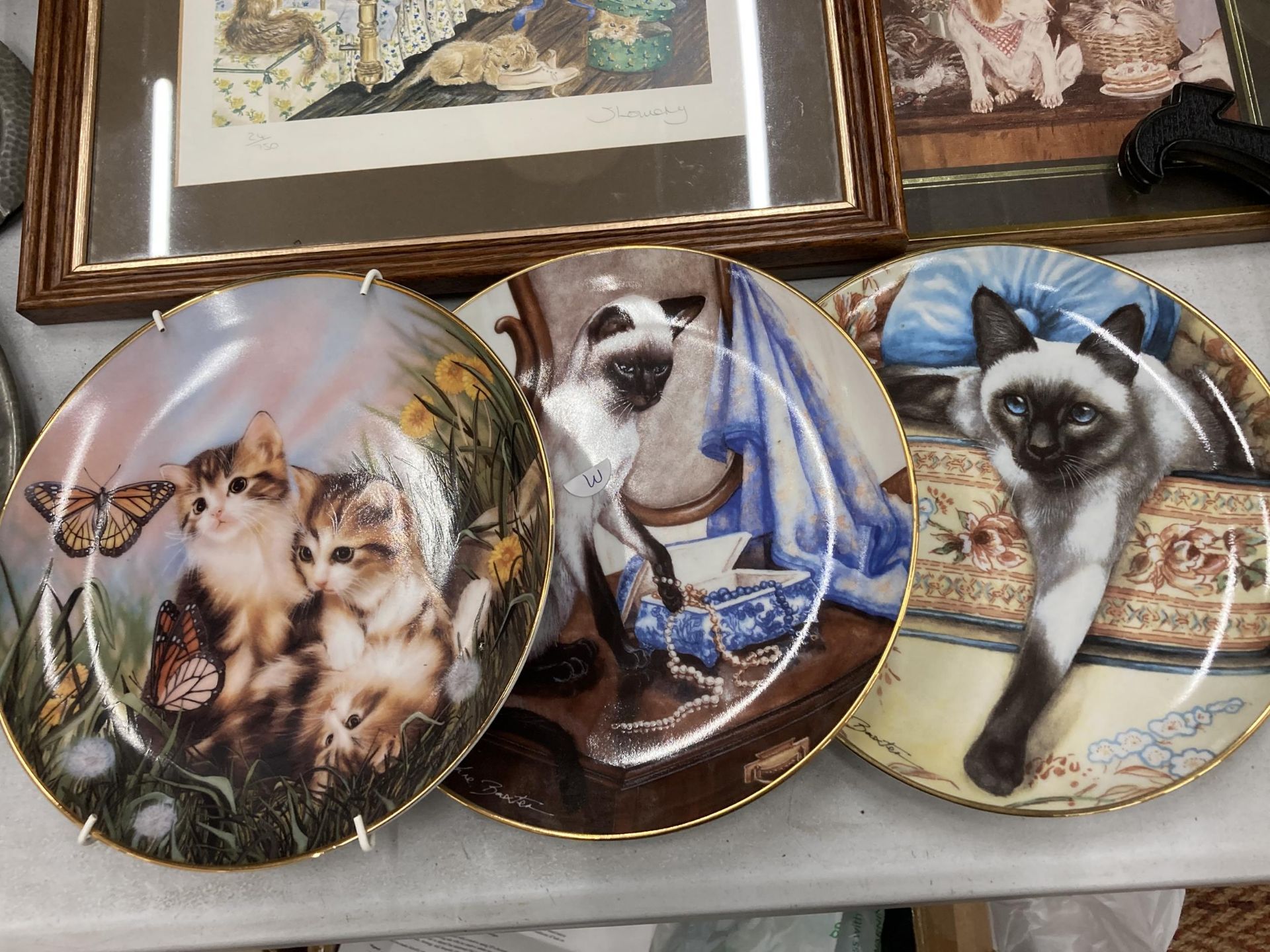 THREE CAT CABINET PLATES, A CAST CAT AND FABRIC ROBIN DOOR STOP PLUS TWO FRAMED PRINTS - Image 2 of 5