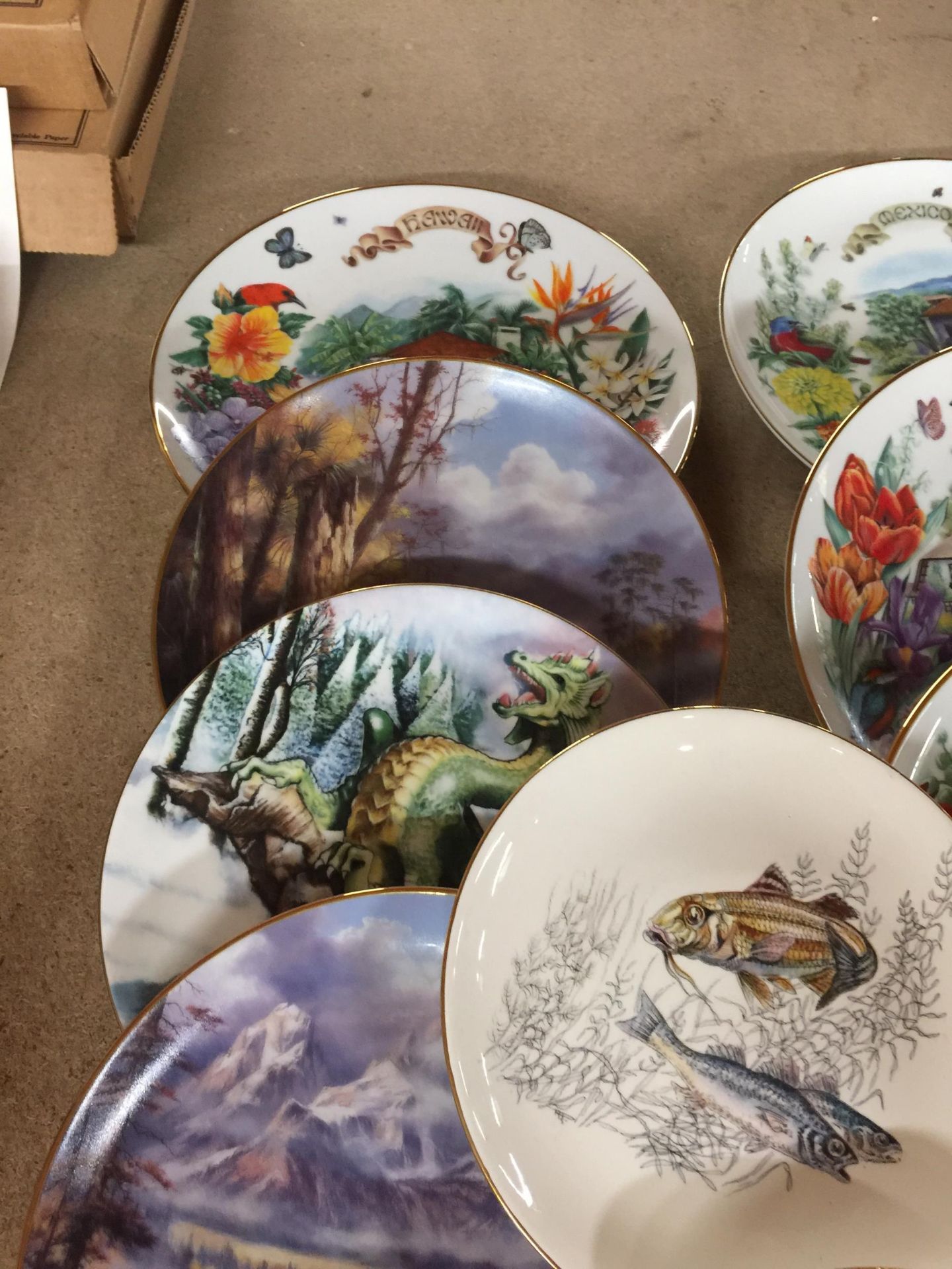 A COLLECTION OF CABINET PLATES - 11 IN TOTAL - Bild 4 aus 4