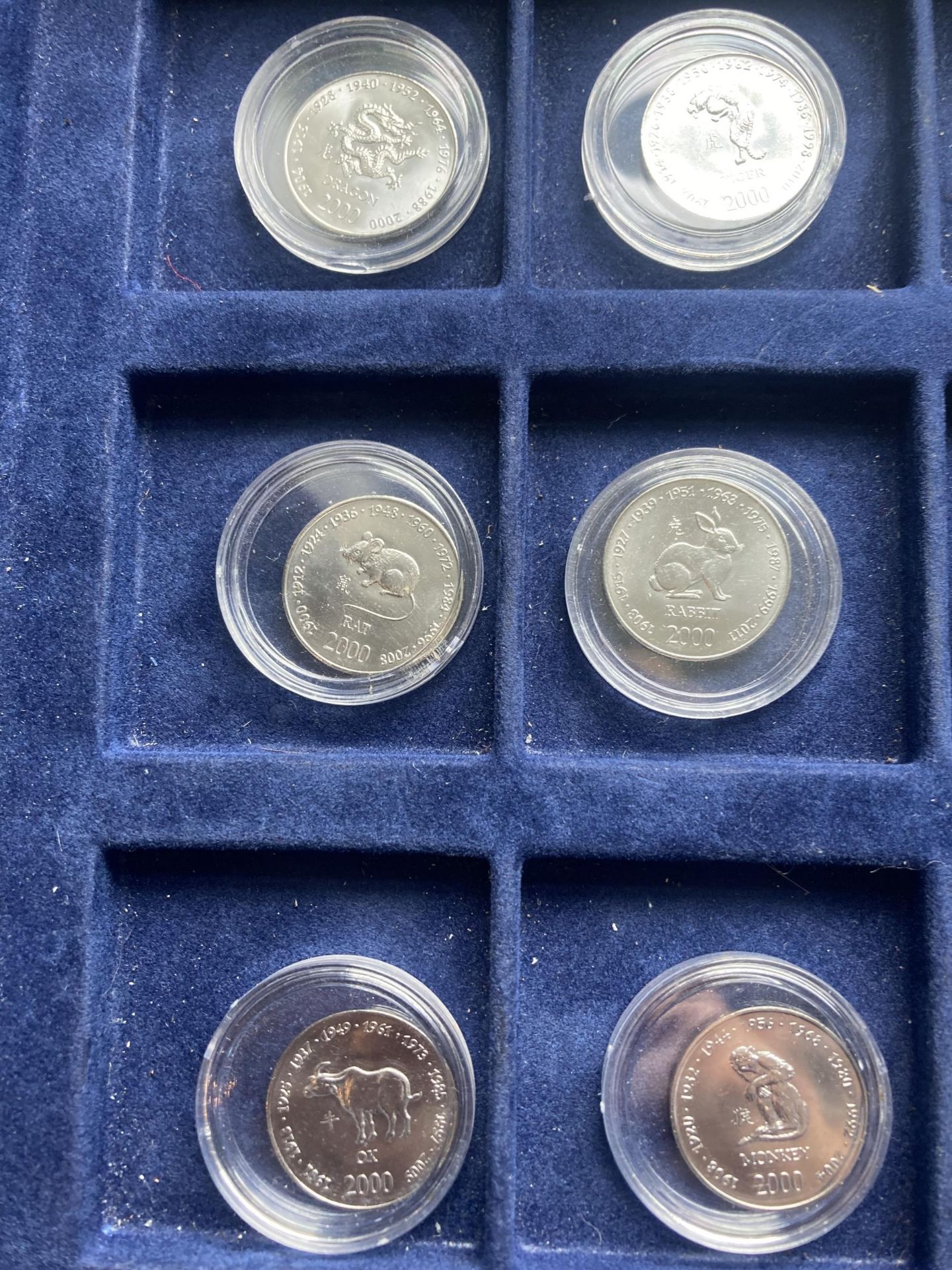 SOMALIA , A SELECTION OF 12 ENCAPSULATED TEN SHILLING COINS FROM 2000 - Bild 2 aus 4