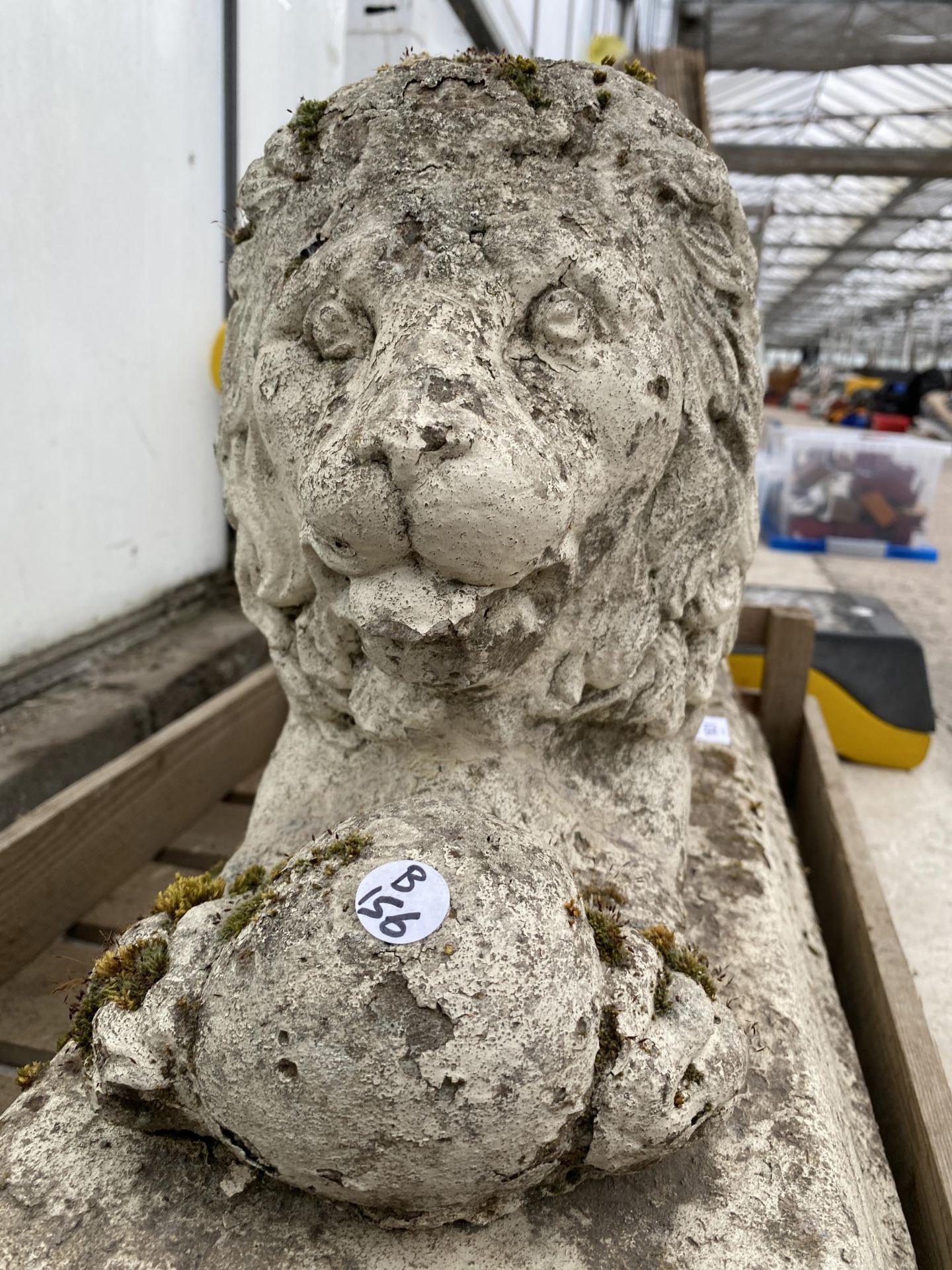 A RECONSTITUTED STONE LION GARDEN FIGURE WITH PLINTH BASE - Image 5 of 6