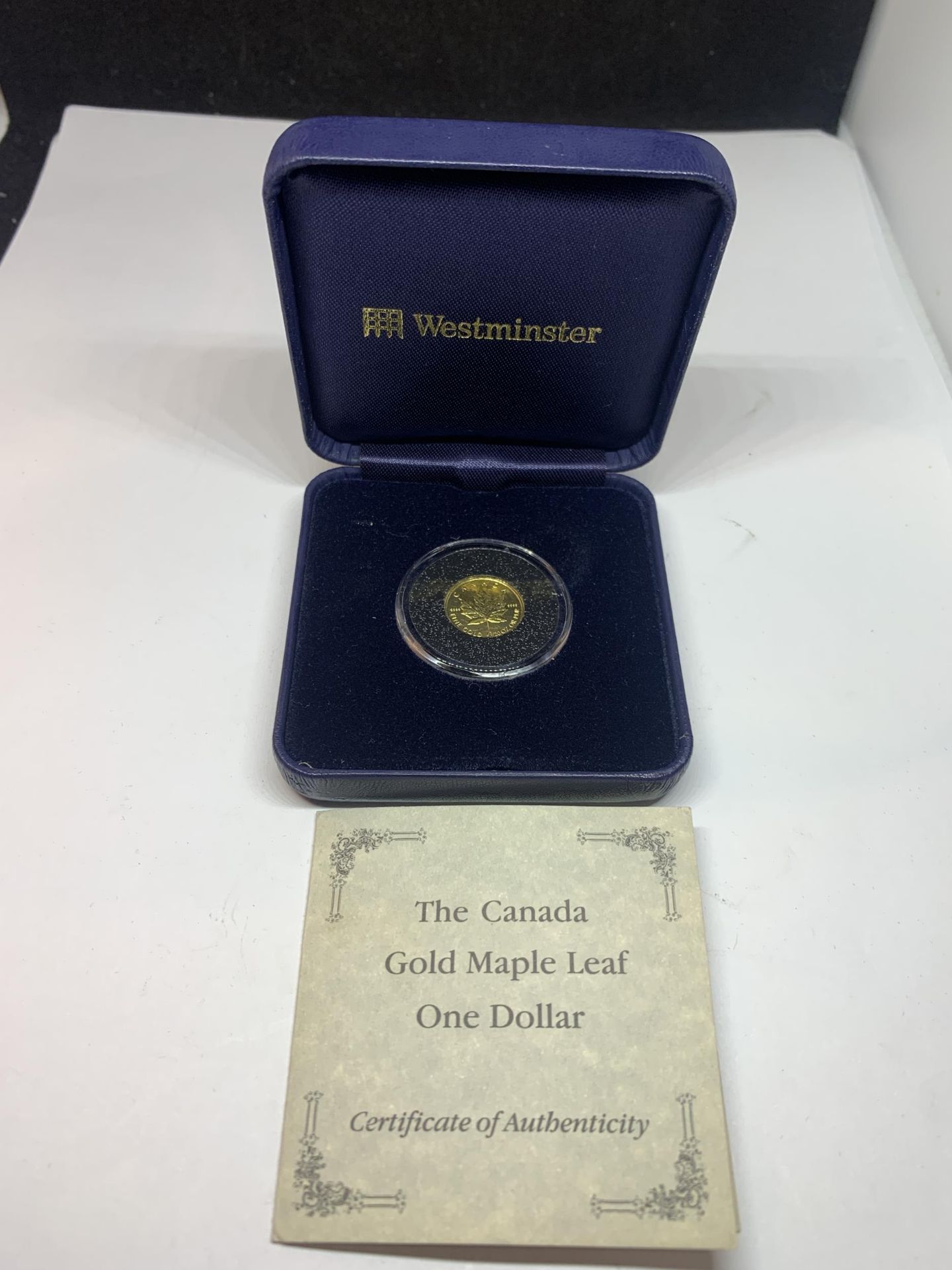 A CANADA 1993 1/20OZ MAPLE LEAF GOLD $1 COIN