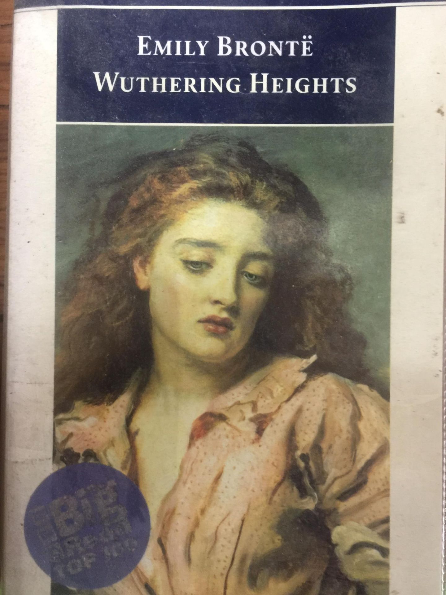 A QUANTITY OF FICTION AND NON FICTION BOOKS TO INCLUDE WUTHERING HEIGHTS, BEANO ANNUAL, HILLARY - Image 5 of 5