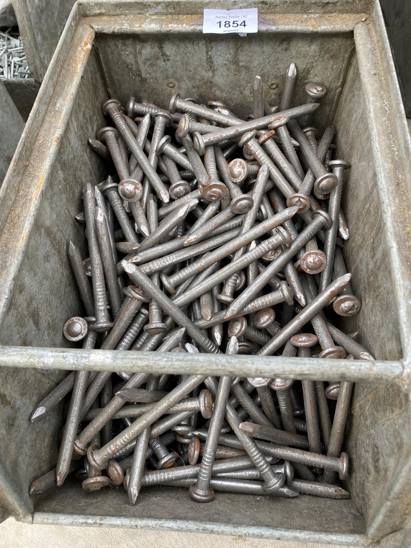 A LARGE ASSORTMENT OF NAILS AND FENCING STAPLES - Image 3 of 4