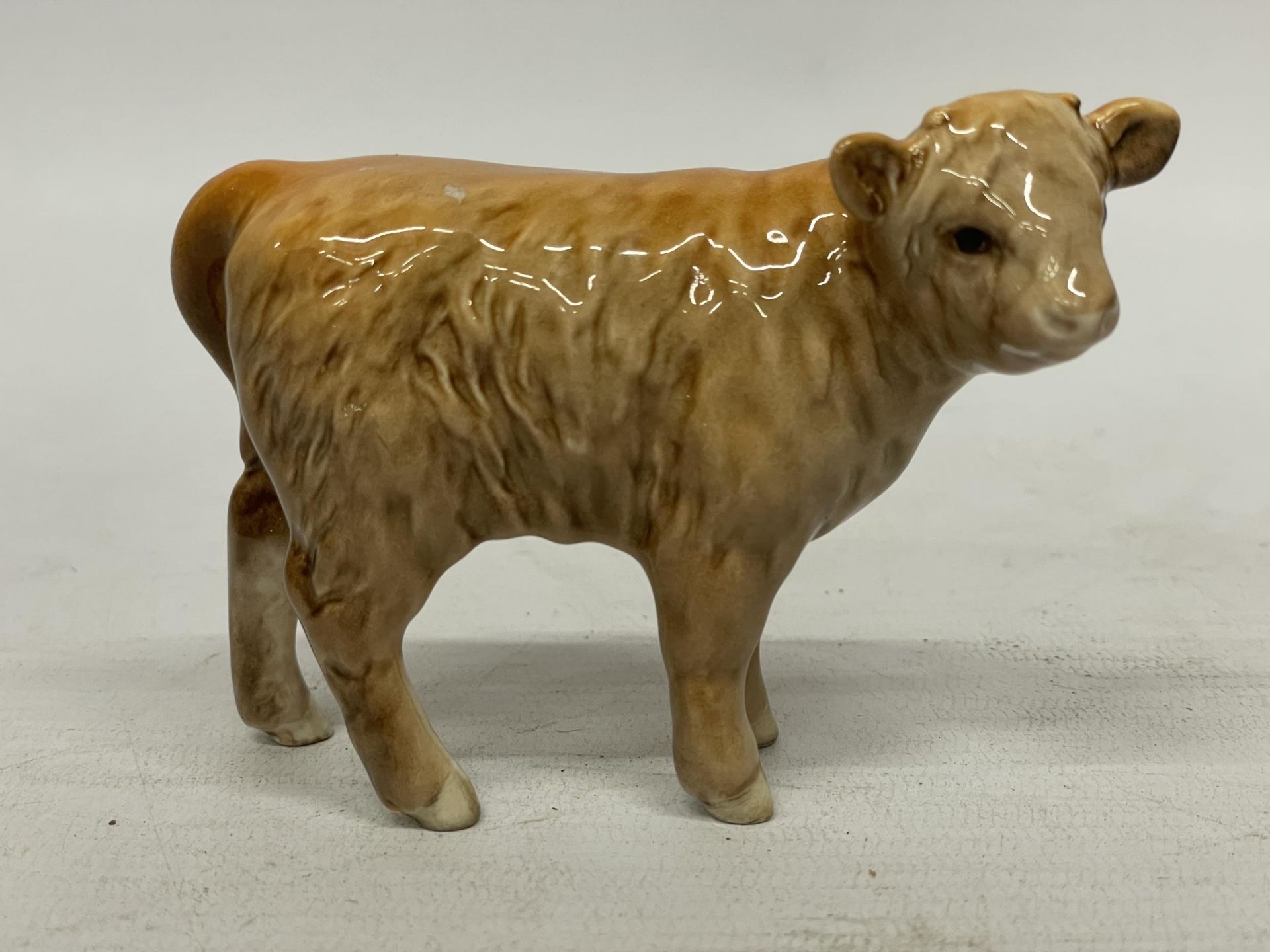 A BESWICK HIGHLAND CALF