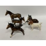 FIVE BESWICK GLOSS ANIMAL MODELS - FOUR PONIES AND A JACK RUSSELL DOG
