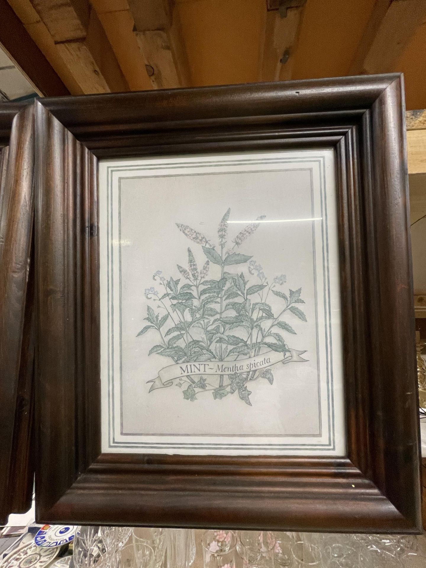 A PAIR OF FRAMED BOTANICAL PRINTS - Image 2 of 3