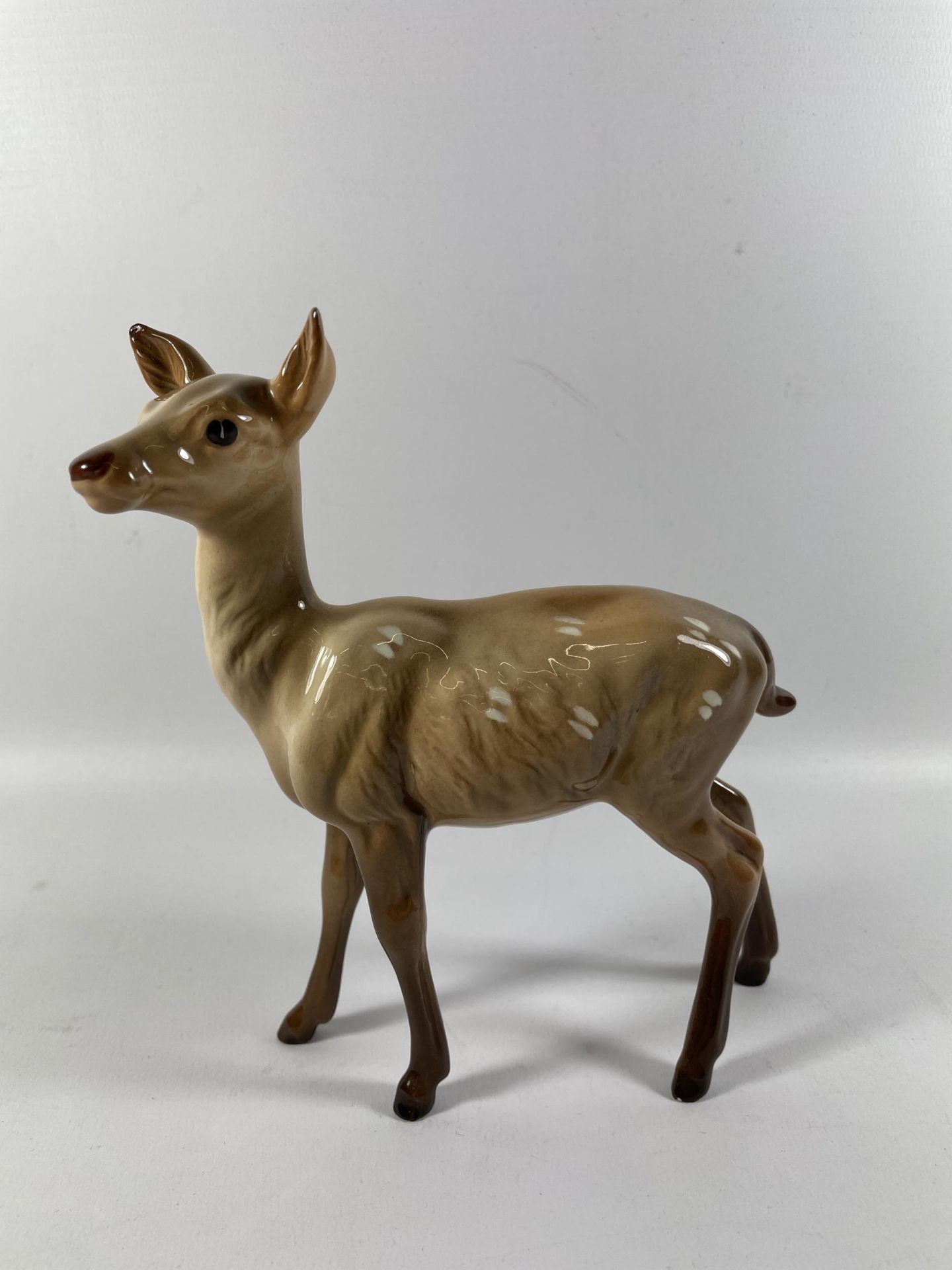 A BESWICK BROWN GLOSS MODEL OF A DOE / DEER