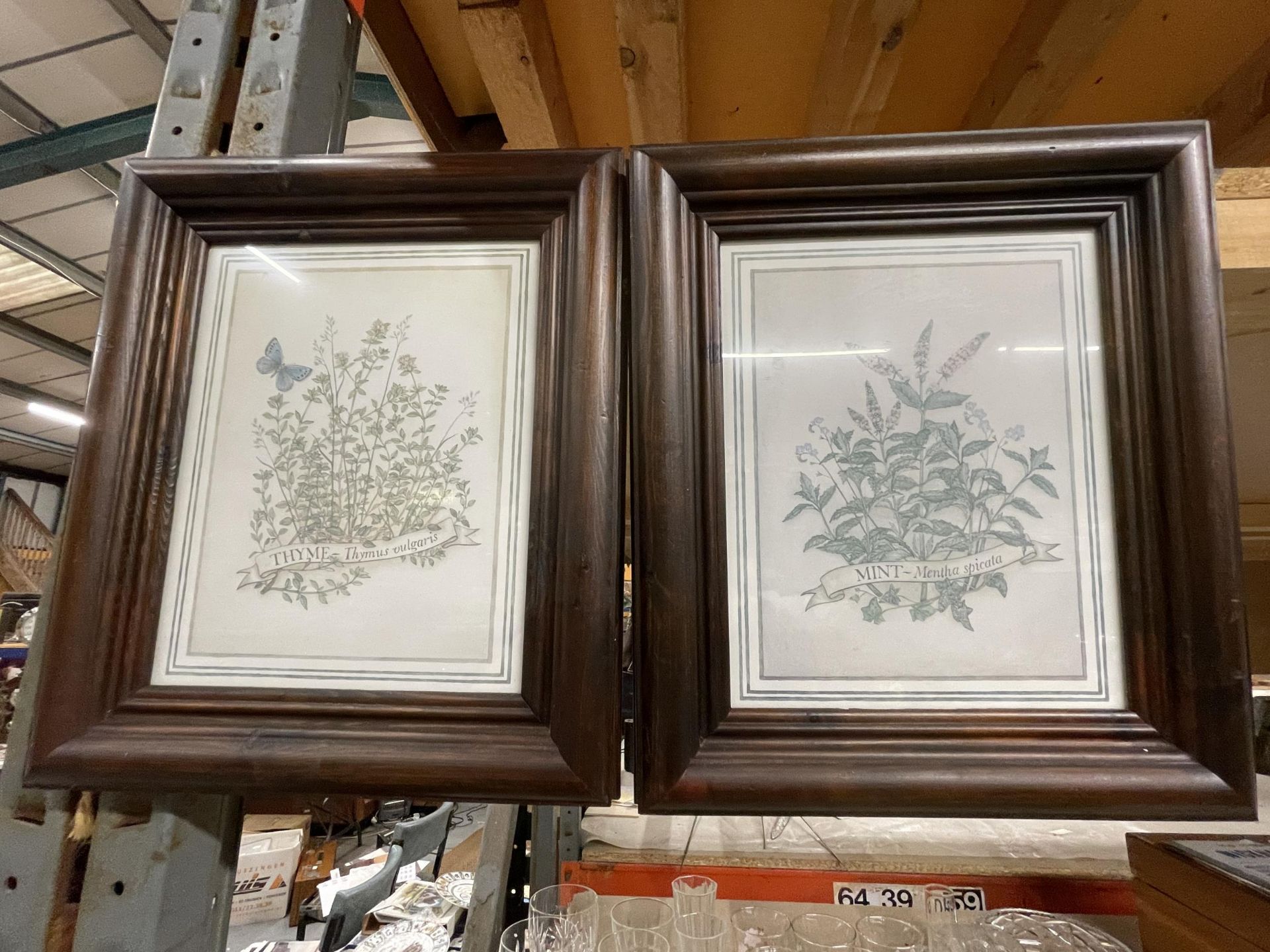 A PAIR OF FRAMED BOTANICAL PRINTS