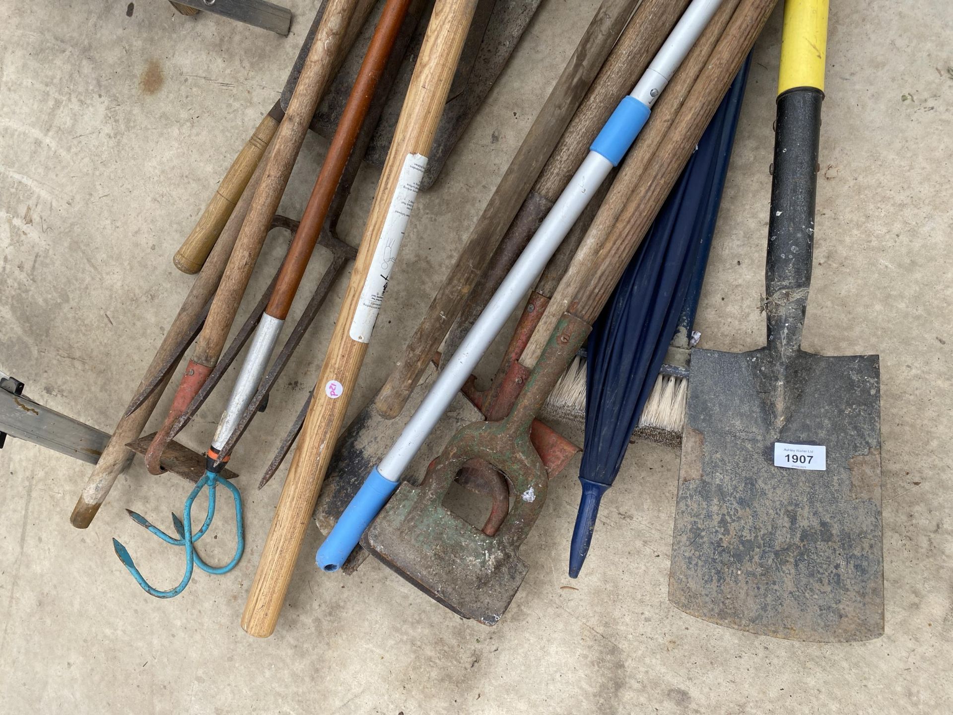 AN ASSORTMENT OF GARDEN TOOLS TO INCLUDE SPADES, FORKS AND HOES ETC - Image 2 of 3