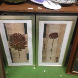 TWO MODERN FRAMED FLORAL DESIGN PRINTS